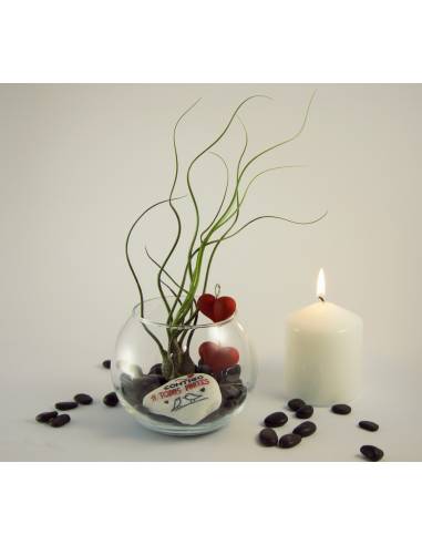 Terrario pecera con decoración San Valentín y tillandsia butzii