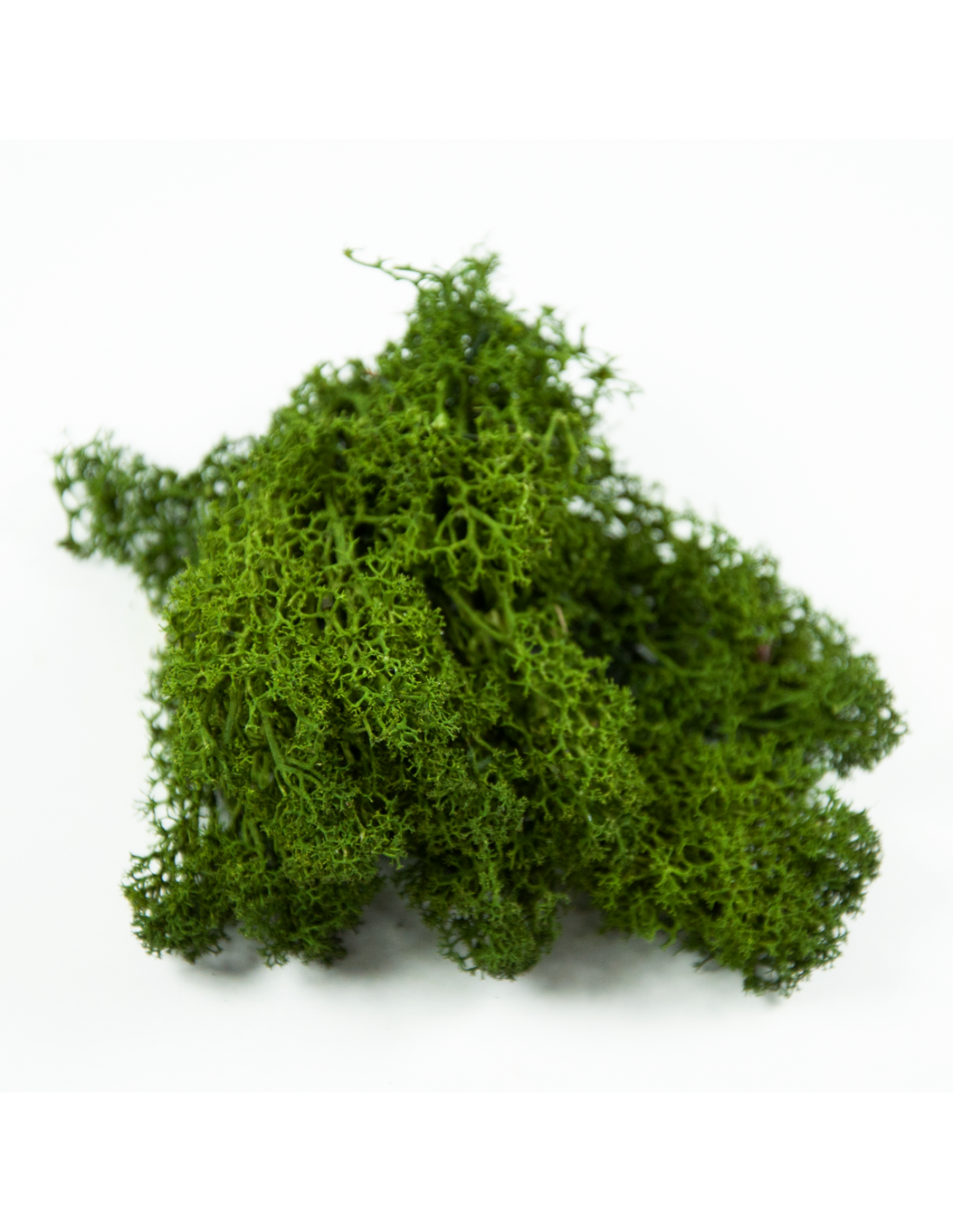 Lichen Green (2150-20): 9x14.75